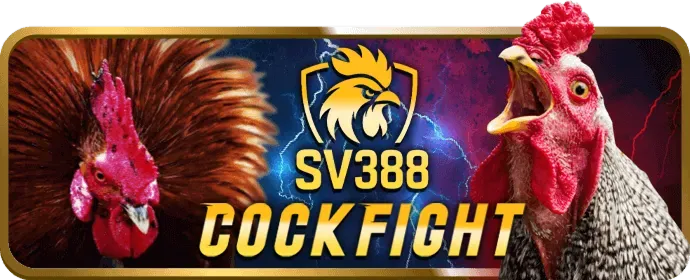 Cá cược thể thao đỉnh cao với 777bet nổ hũ